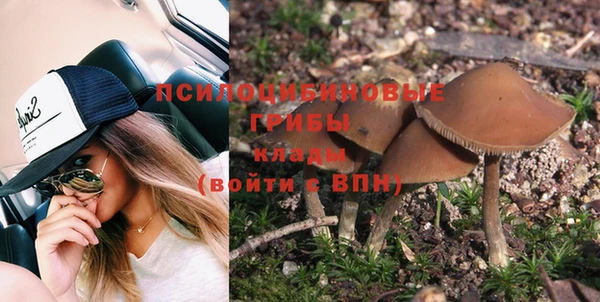 кокс Гусев