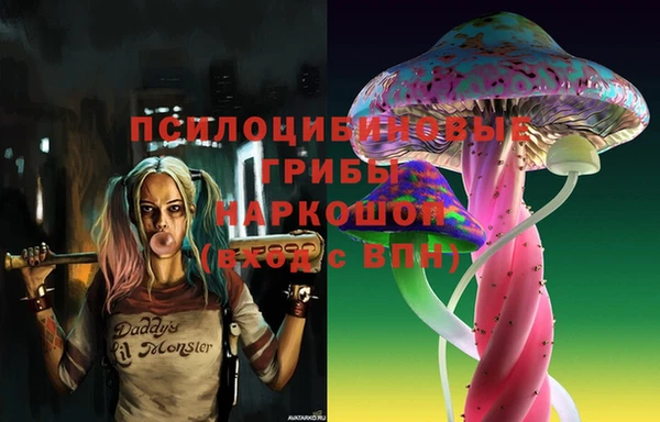 тгк Гусь-Хрустальный