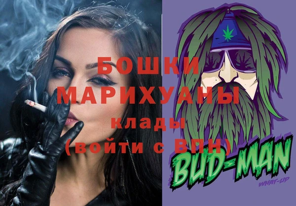 тгк Гусь-Хрустальный