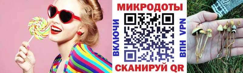 купить закладку  Петропавловск-Камчатский  Псилоцибиновые грибы мухоморы 